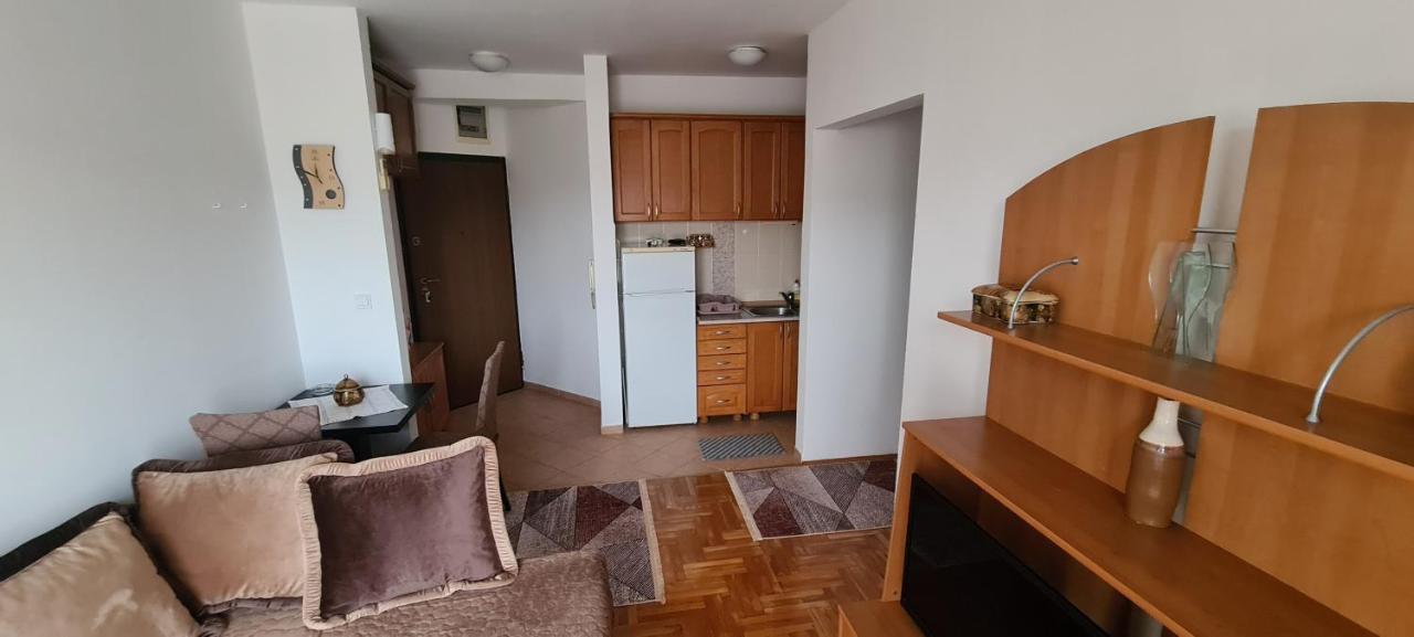 Apartman Velimir Stari Aerodrom Podgorica Bagian luar foto